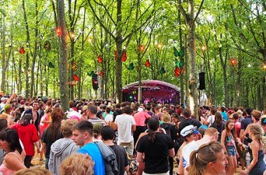 Somerley Tea Party 2015