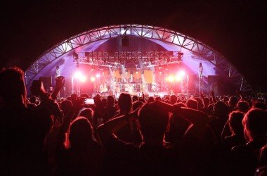 Standon Calling 2015