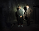 inSYNC’s ‘Needed’ Track of the Week: ‘Tslamp’ by MGMT
